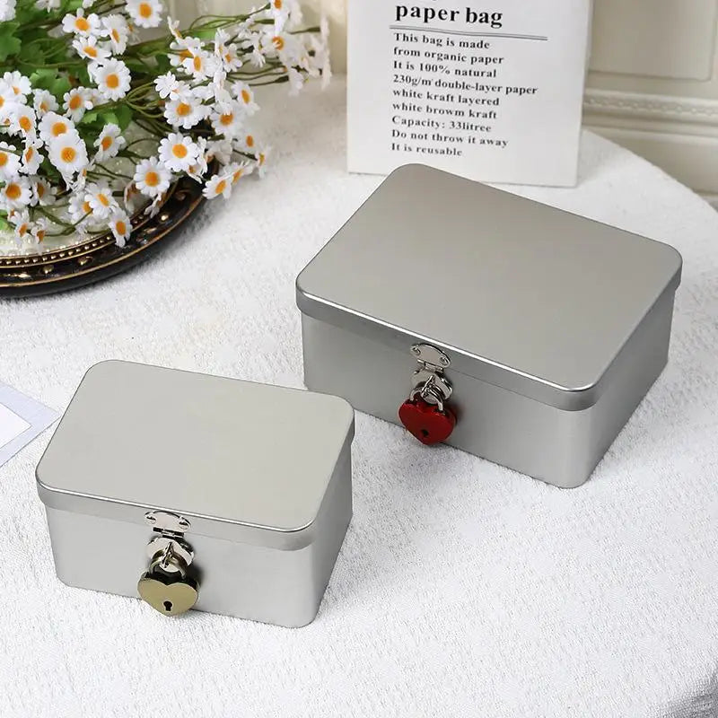 Silver Lockable Tinplate Storage Box – Jewelry & Desk Organizer Lockable Storage Box Nixie