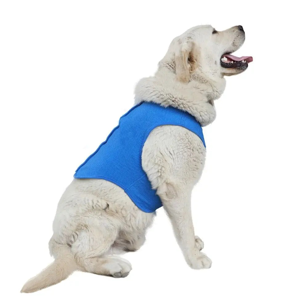 Dog Cooling Vest – Breathable Lightweight Summer Jacket for Dogs