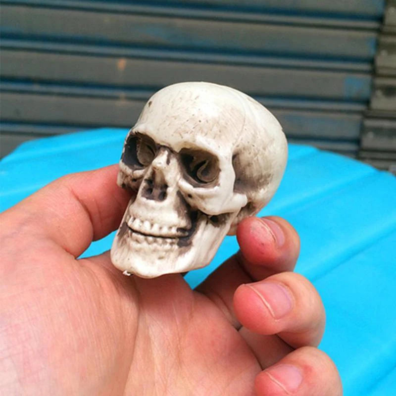 Plastic Skull Head Figurine – Halloween & Party Décor Statue