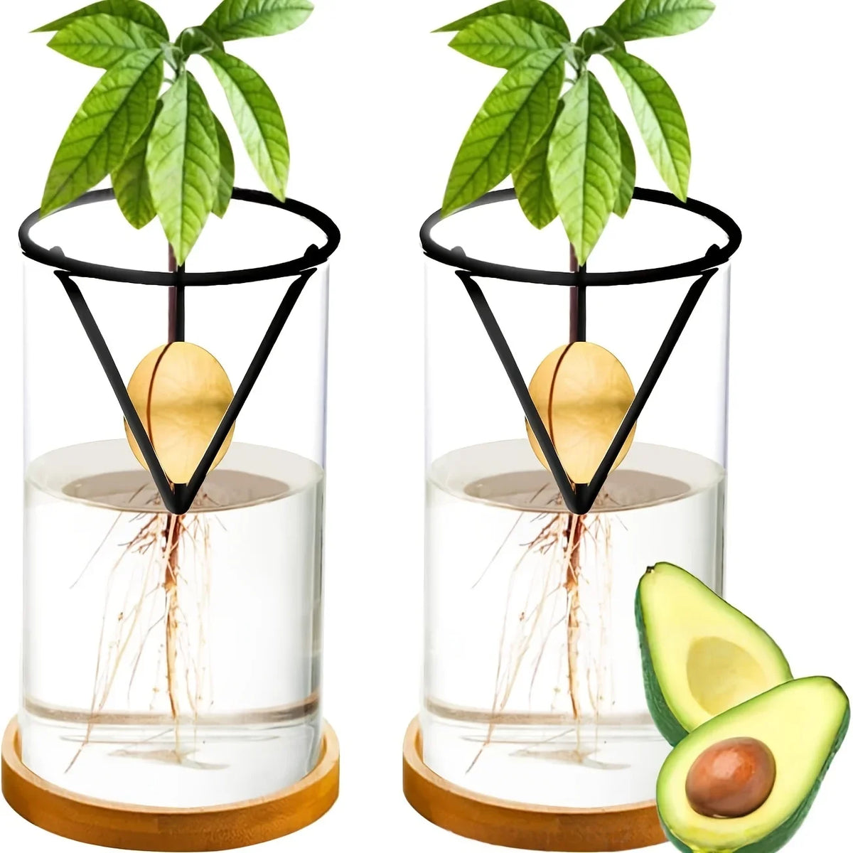 2Pcs Hydroponic Cone Seedling Planter – Suspended Seed Starter