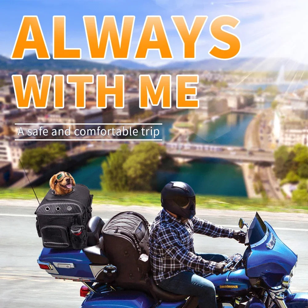 Motorcycle Pet Carrier Bag – Rear Seat Dog & Cat Bag Motorcycle Pet Carrier Nixie