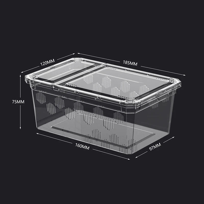 Reptile Breeding Box – Clear Vivarium Tank for Lizards & Spiders Reptile Breeding Box Nixie A1