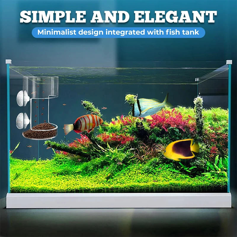 Acrylic Fish Food Holder for Fish Tank – Dish Tray & Suction Cup Aquarium Fish Feeder Nixie