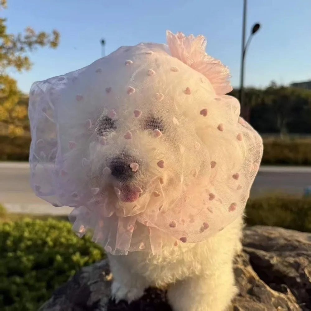 Breathable Dog Protective Mask – Adjustable Anti-Bite Head Cover Pet Protective Mask Nixie
