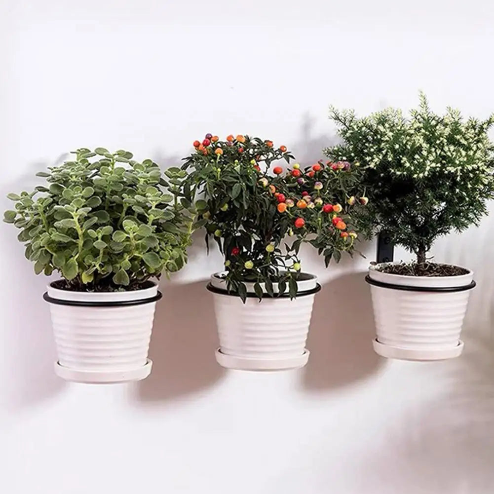 Wall Mounted Metal Flowerpot Holder Ring 4/5/6/8 Inch Sizes