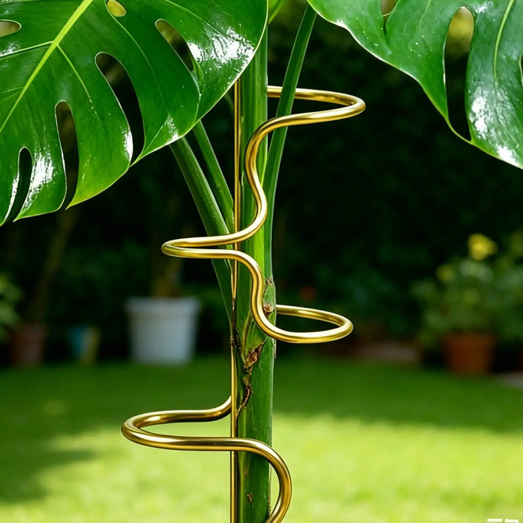Metal Monstera Plant Stakes – Indoor & Outdoor Stem Support Plant Support Stakes Nixie