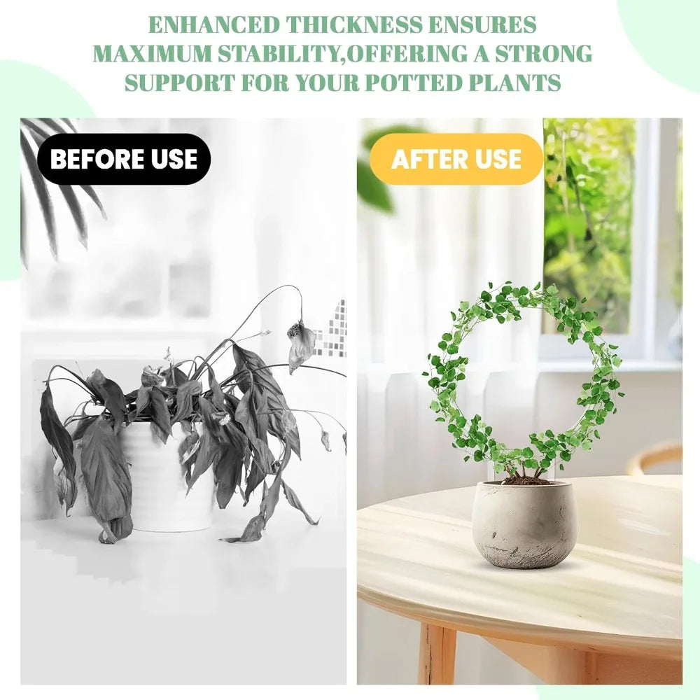 Transparent Round Plant Trellis – Plastic Indoor Support Frame Plant Support Trellis Nixie