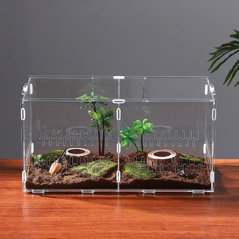 Acrylic Jumping Spider Enclosure – Ventilated Terrarium 3 Sizes Pet Terrarium Enclosure Nixie