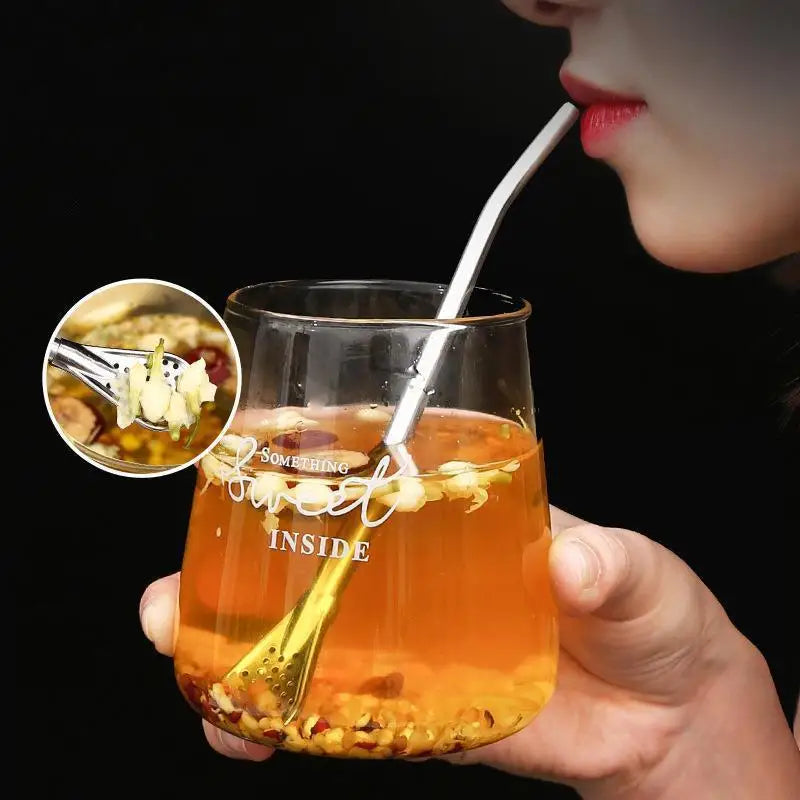 Stainless Steel Bombilla Filter Straw – Reusable Yerba Mate Set Reusable Filter Straw Nixie