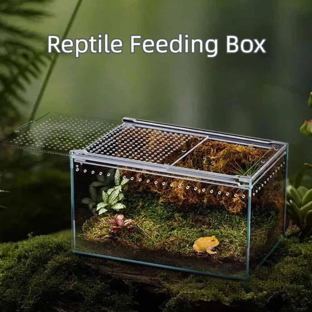 Transparent Acrylic Reptile Terrarium – Ventilated Lizard Habitat Reptile Terrarium Nixie
