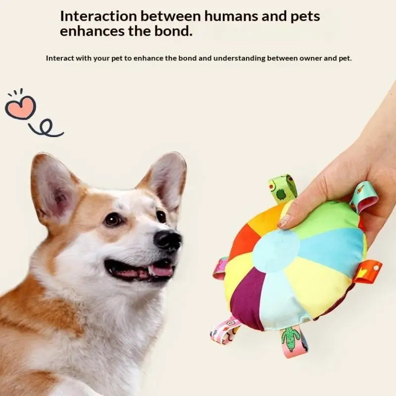Hot Dog Squeaky Plush Dog Toy – Bite Resistant Chew Toy Dog Squeaky Toy Nixie