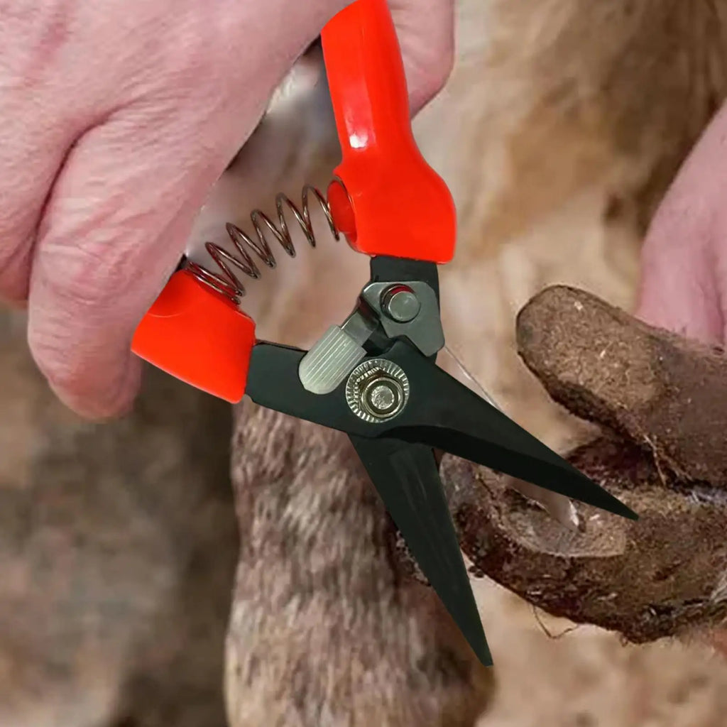 Sheep & Goat Hoof Trimmers – Stainless Steel Shears Hoof Trimming Shears Nixie
