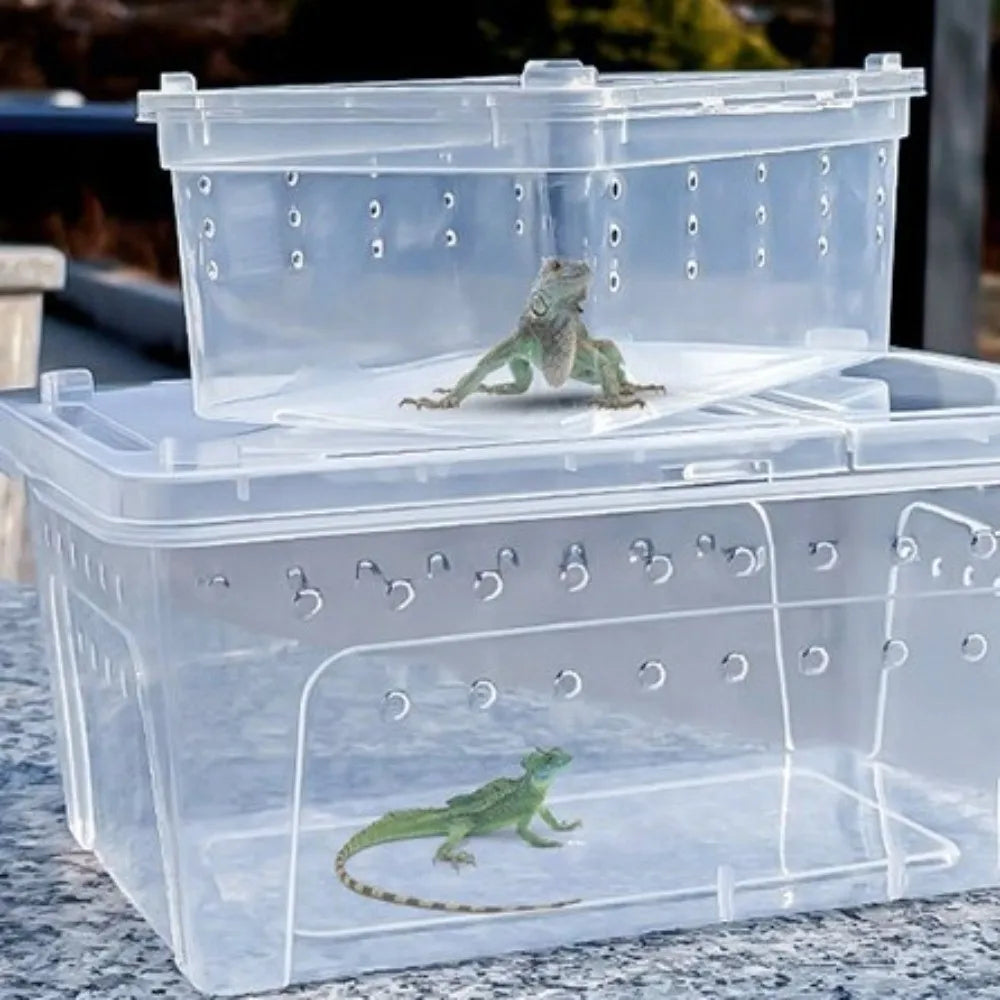 Stackable Transparent Reptile Breeding Box | Ventilated Terrarium
