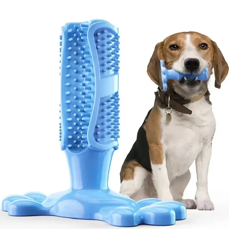 Dog Cactus Chew Toy – Treat Dispenser & Teeth Cleaner