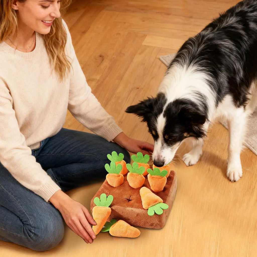 Dog Snuffle Mat Carrot Puzzle Feeding Toy – Dogs & Puppies Pet Puzzle Toy Nixie