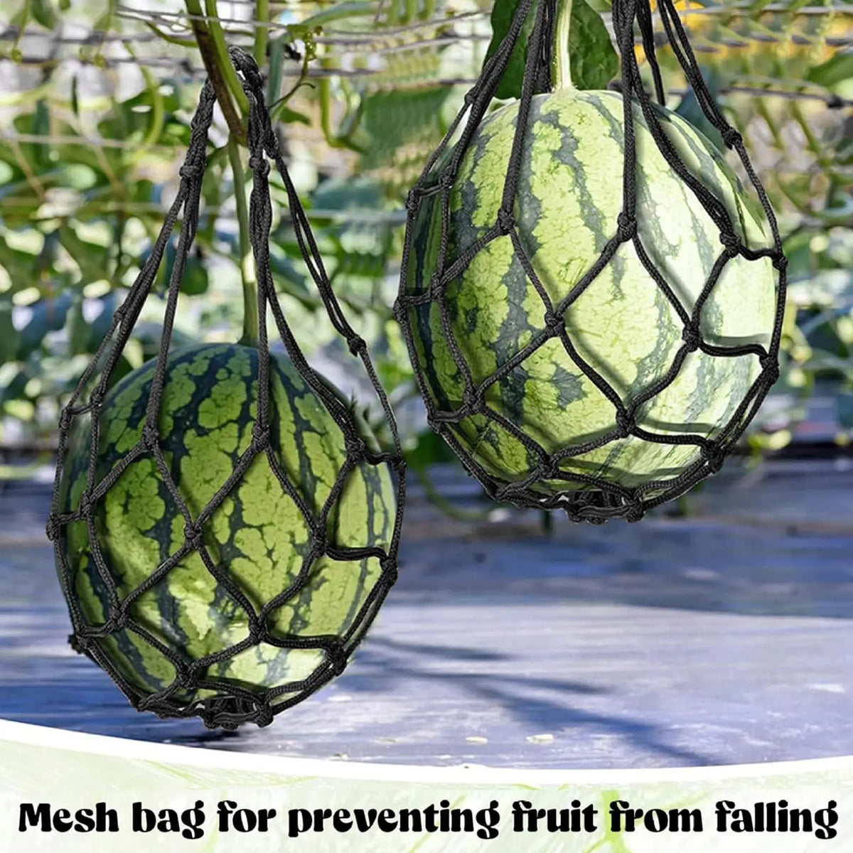 10-Pack Fruit Hammock Nets – Vertical Garden Support Bags