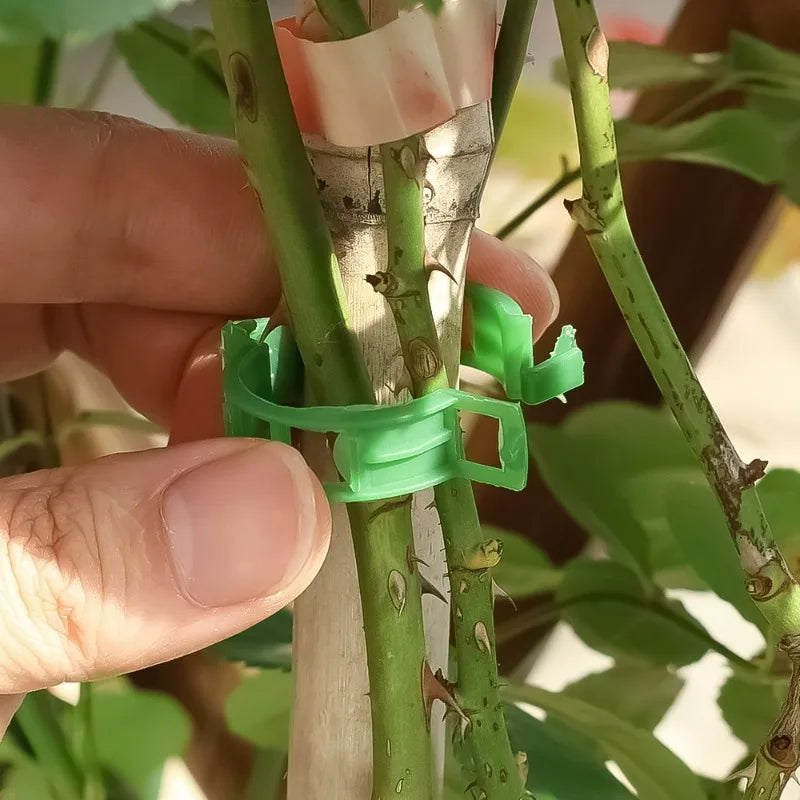 200Pcs Garden Plant Support Clips for Vines, Tomatoes & Climbing Plants Garden Plant Clips Nixie