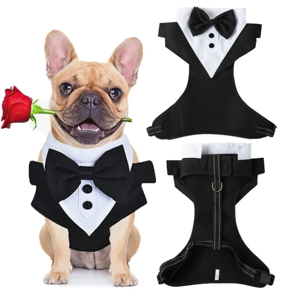 Dog Tuxedo Kit with Bow Tie & Vest Harness | Black & Blue