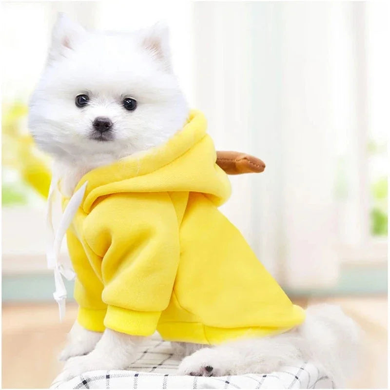 Cute Fruit Dog Hoodie – Warm Fleece Jacket for Small Dogs Dog Hoodie Jacket Nixie
