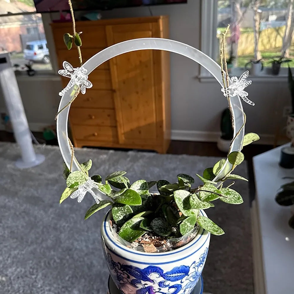 Transparent Round Plant Trellis – Plastic Indoor Support Frame Plant Support Trellis Nixie