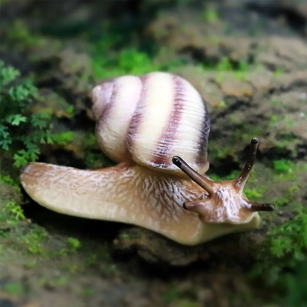 Mini Resin Snail Figurine – Fairy Garden & Desktop Décor Garden Figurine Nixie