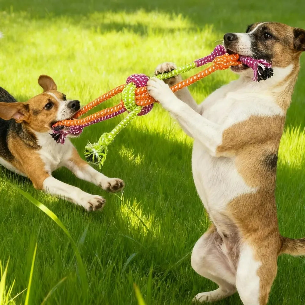 Dog Cotton Rope Knot Chew Toy – Bite-Resistant Interactive