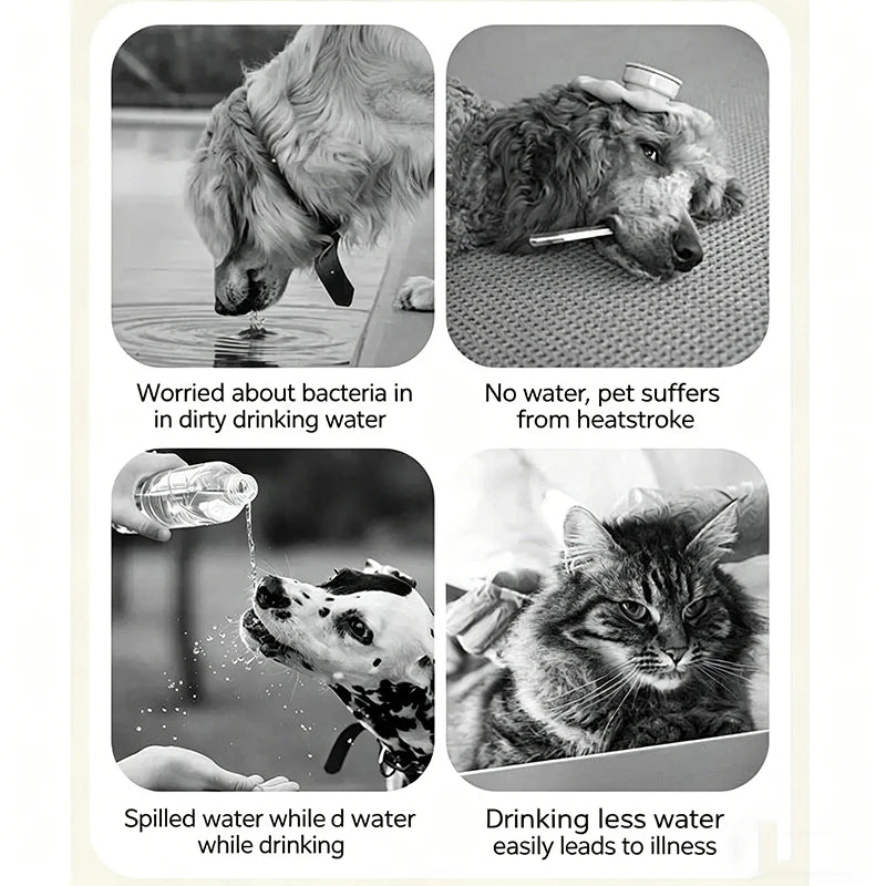 Foldable Pet Water Bowl – Portable Dog & Cat Dispenser Portable Pet Bowl Nixie