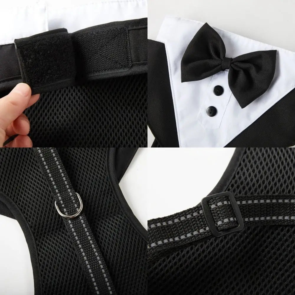Dog Tuxedo Kit with Bow Tie & Vest Harness | Black & Blue