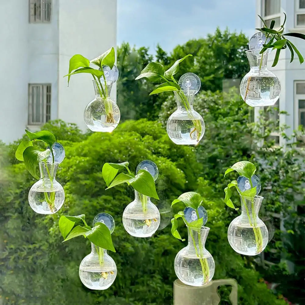 Window Propagation Station Plant Bulb Vase with Suction Cup Propagation Planter Nixie