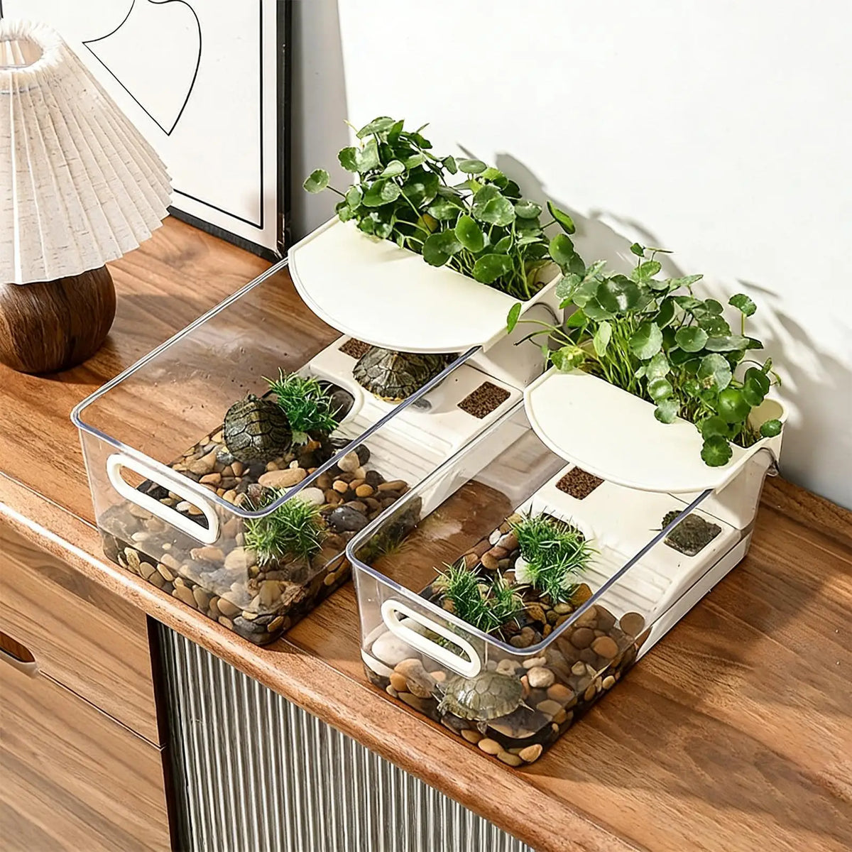 Turtle Tank with Basking Ramp | Desktop Reptile Terrarium Reptile Terrarium Tank Nixie