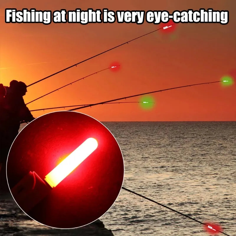 Night Fishing Float Set – 2 Bobbers + USB Charger & CR425 Batteries Night Fishing Float Set Nixie