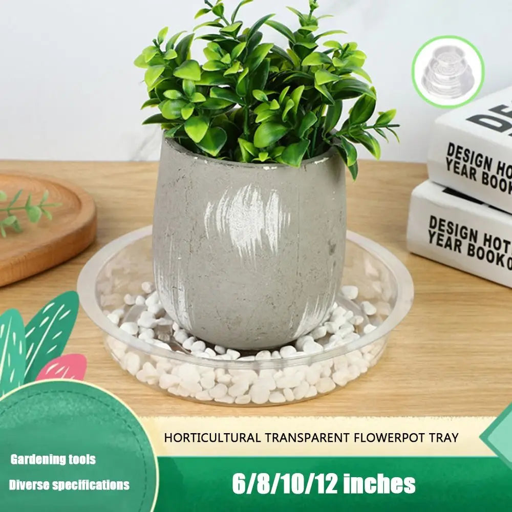 10 Pack Clear Round Plastic Flower Pot Drip Trays – 6 Sizes Plant Drip Trays Nixie