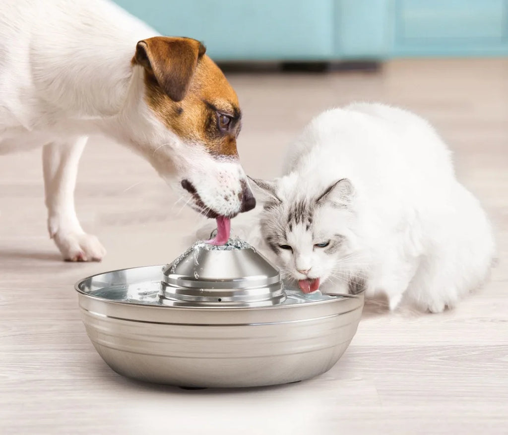 2L Stainless Steel Cat & Dog Water Fountain with Filter Pet Water Fountain Nixie