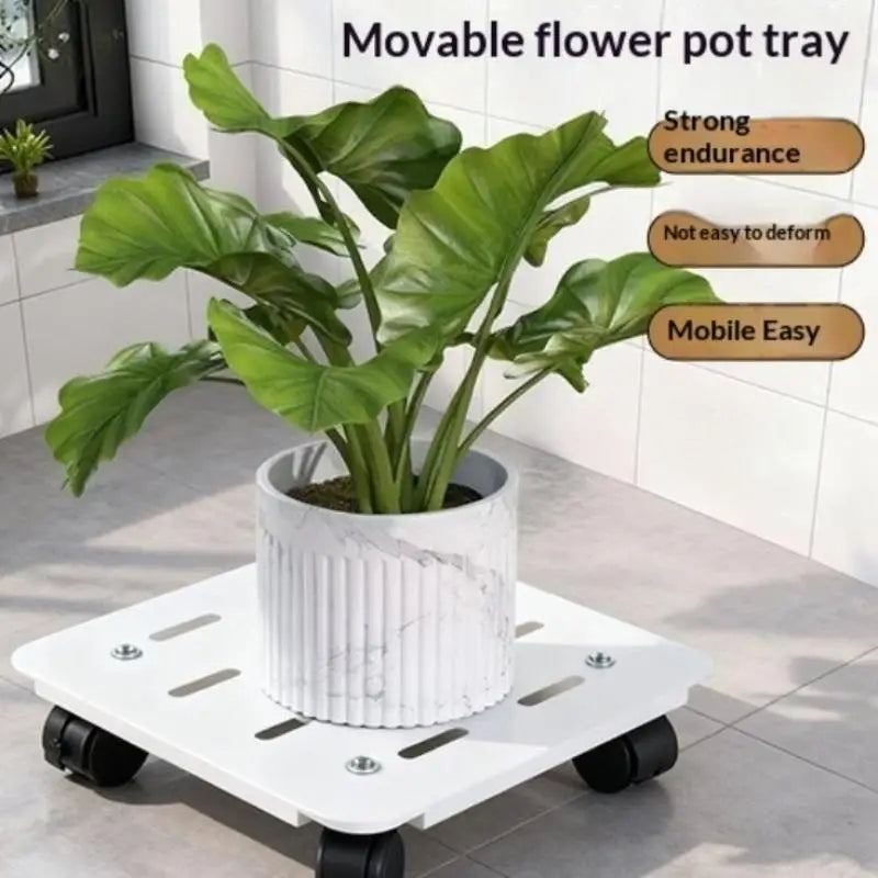 Mobile Plant Pot Tray with Wheels – Heavy Duty Rolling Trolley Plant Pot Trolley Nixie