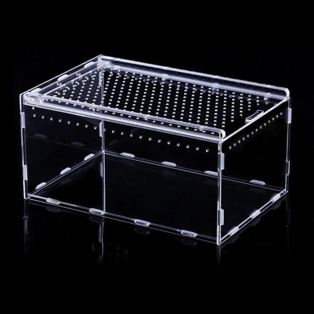 Transparent Acrylic Reptile Terrarium – Ventilated Lizard Habitat Reptile Terrarium Nixie -25x15x15cm