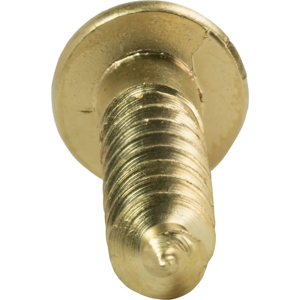 Solid Brass Round Head Slotted Self-Tapping Wood Screws M2 Wood Screws Nixie