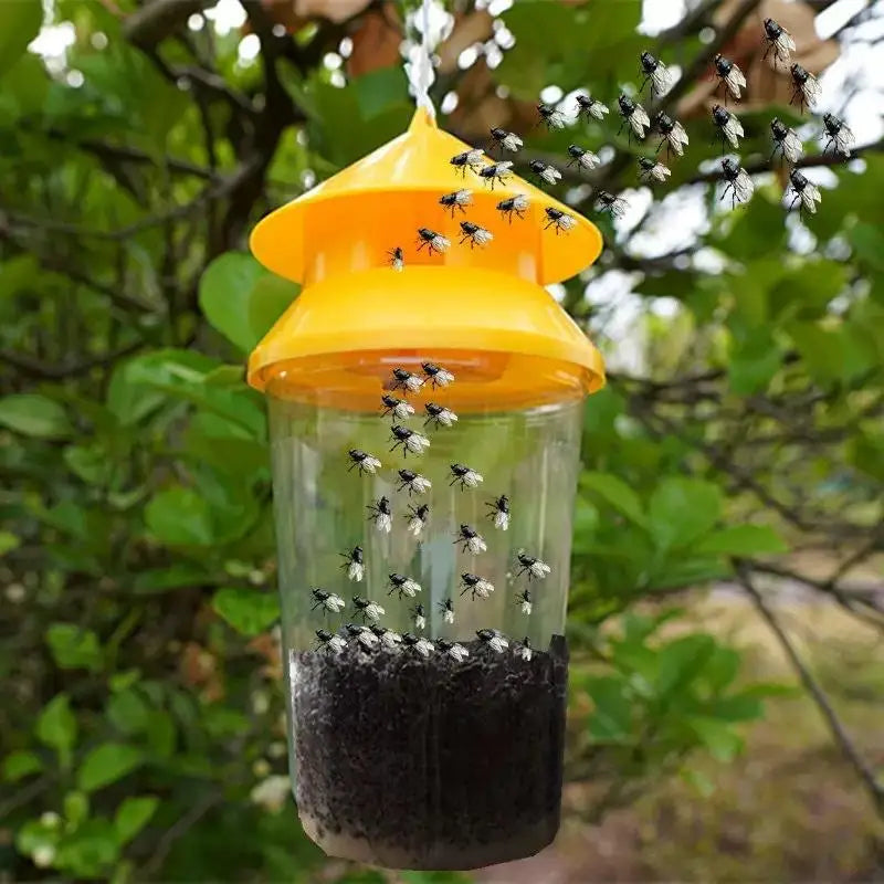 Reusable Fruit Fly Trap with 30-Day Slow-Release Lure | JETTING Fruit Fly Trap Nixie No plug