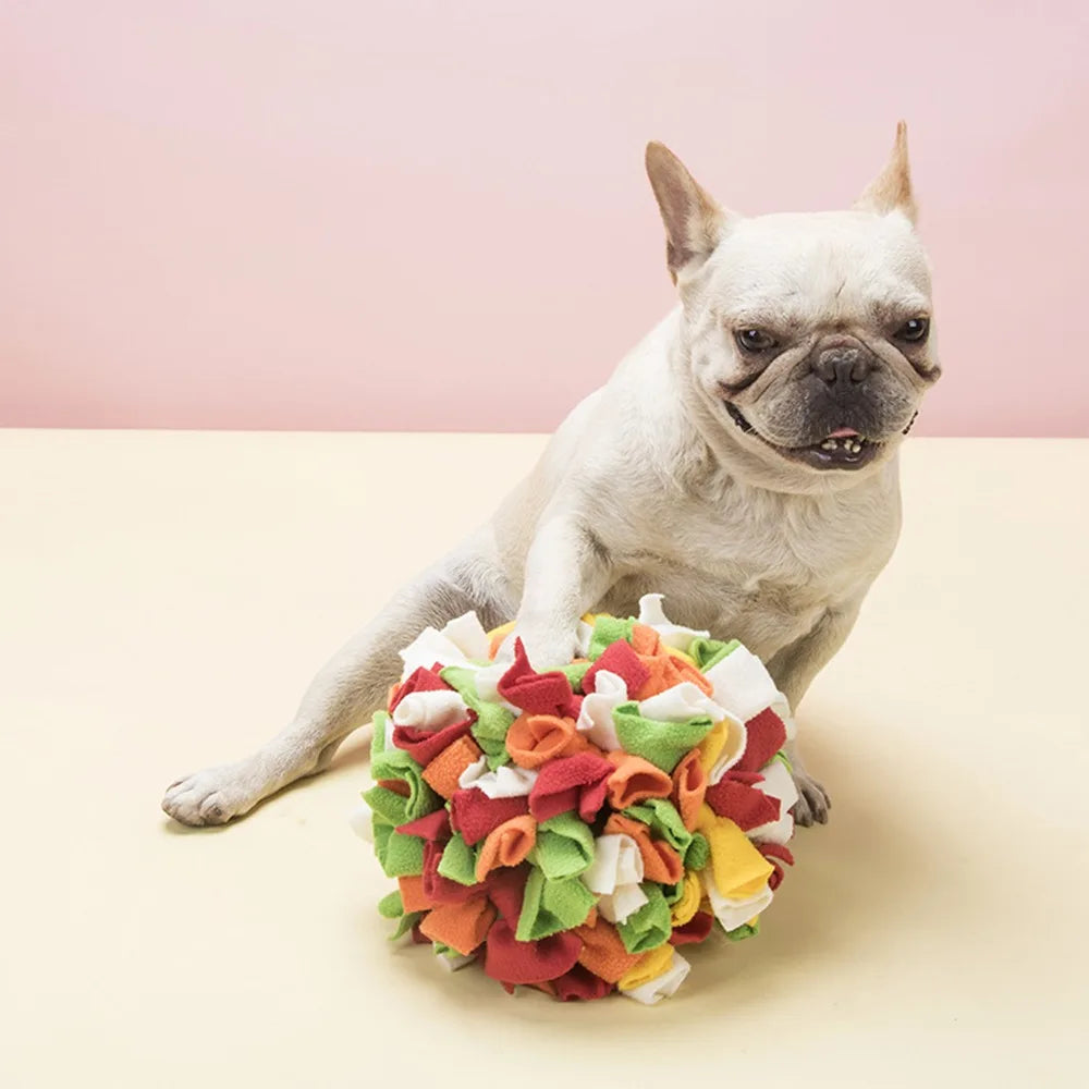 Rainbow Snuffle Ball Dog Enrichment Toy – Brain Training & Slow Feed Dog Enrichment Toy Nixie