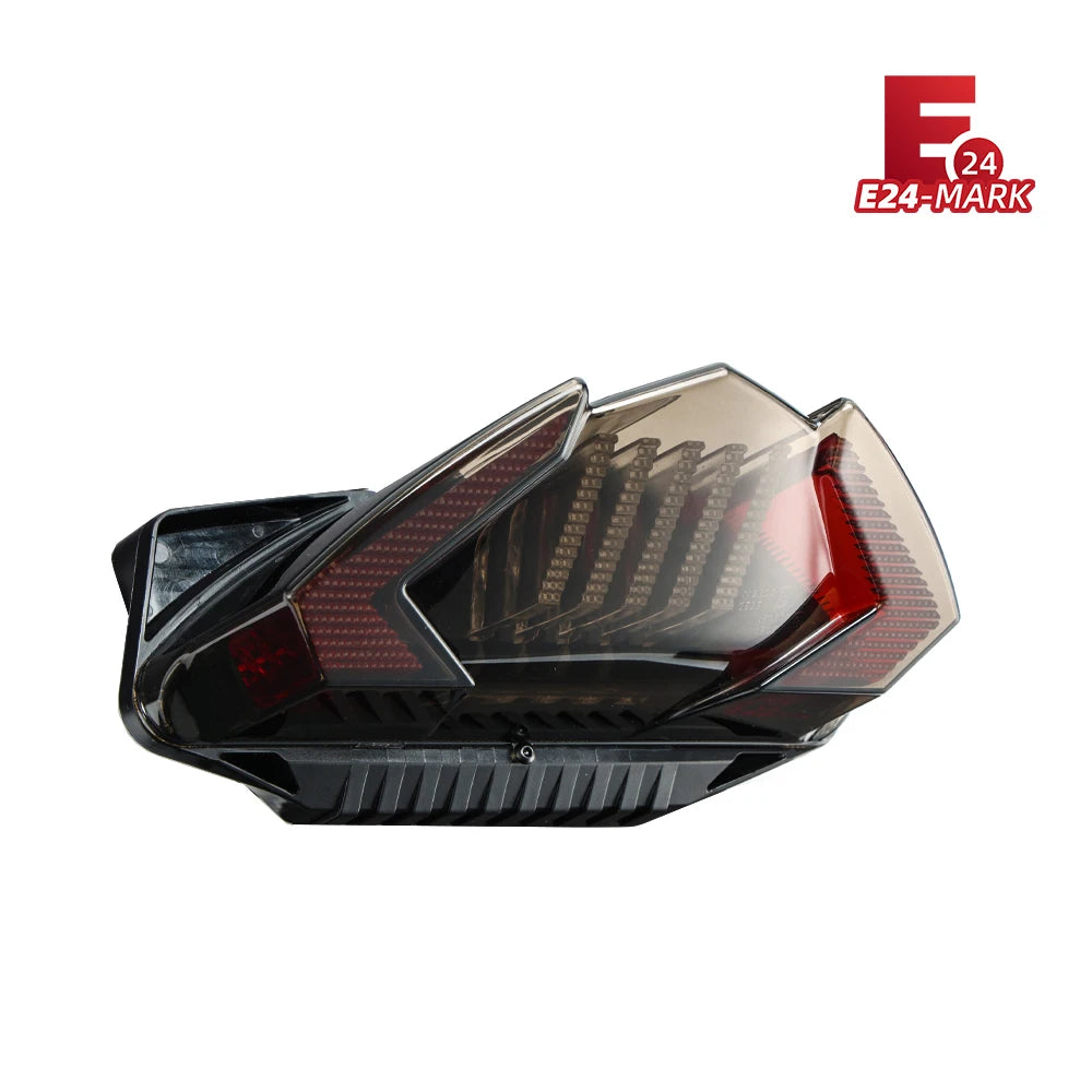 KEMIMOTO LED Tail Light for BMW R1250GS R1200GS ADV E24 Motorcycle Tail Light Nixie E24 Taillight