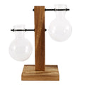 Hydroponic Glass Terrarium Vase with Wooden Stand | Desktop Decor Glass Terrarium Vase Nixie Style 3