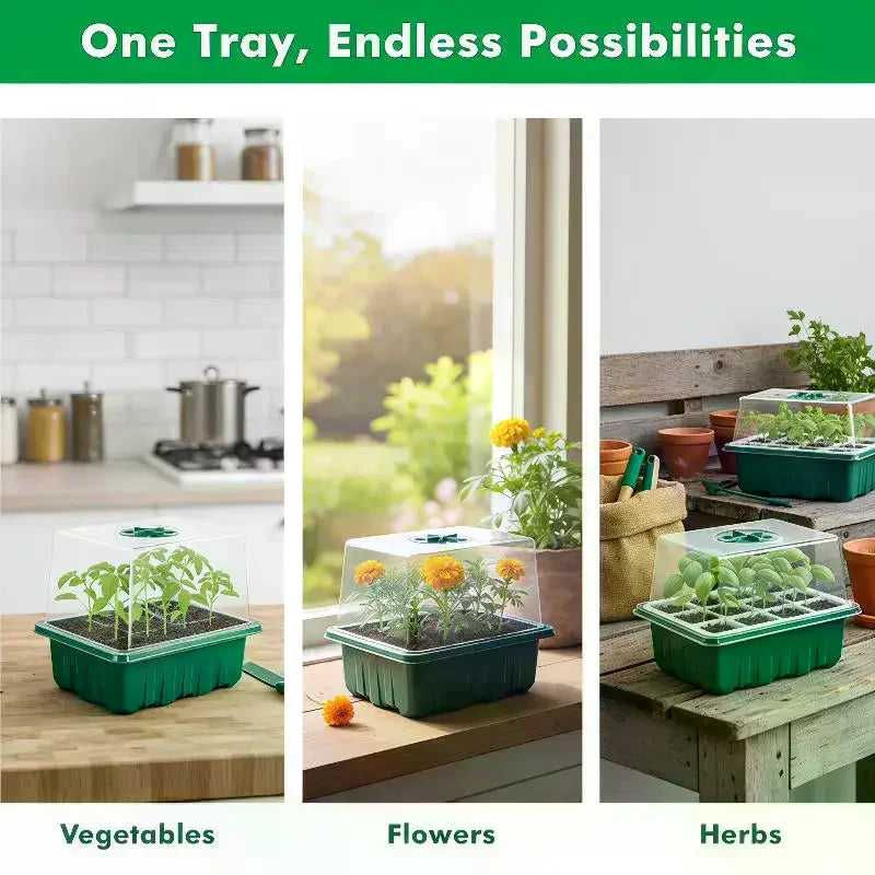Seed Starter Tray Mini Greenhouse Kit with Humidity Dome Seed Starter Kit Nixie