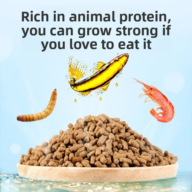 Dragon Fish Color Enhancement Food – Large Granule Fish Feed 500g Tropical Fish Food Nixie