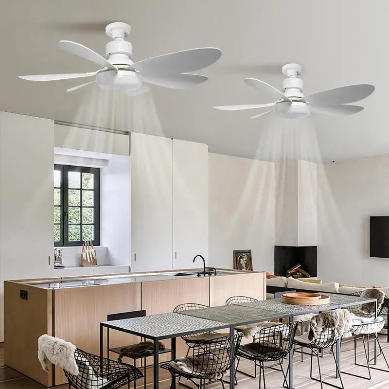 E27 LED Ceiling Fan Light Dimmable Remote Control 2-in-1 Ceiling Fan Light Nixie