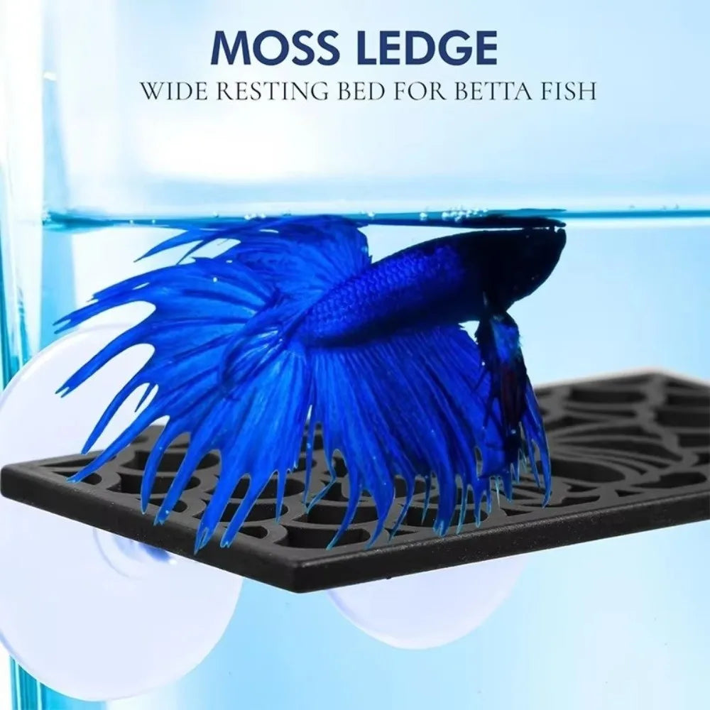 Betta Fish Hideout Cave Tunnel Aquarium Decoration + Suction Cup