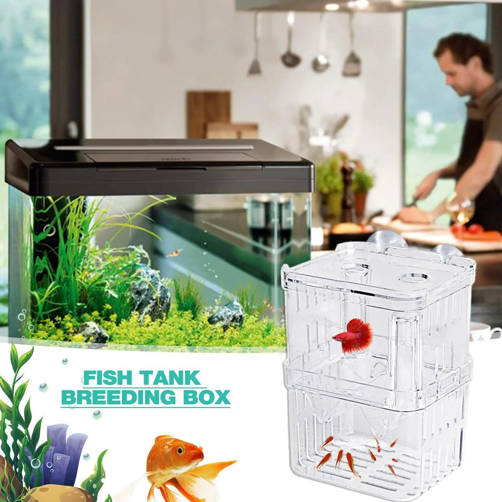 Acrylic Fish Breeding Isolation Box – Betta & Tropical Fish
