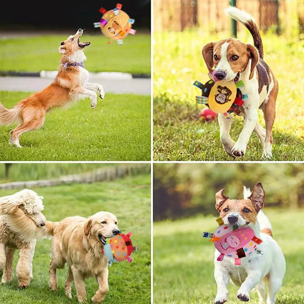 Nixie Elastic Sensory Chew Ball – Textured Dog Toy for All Breeds Dog Chew Toy Nixie