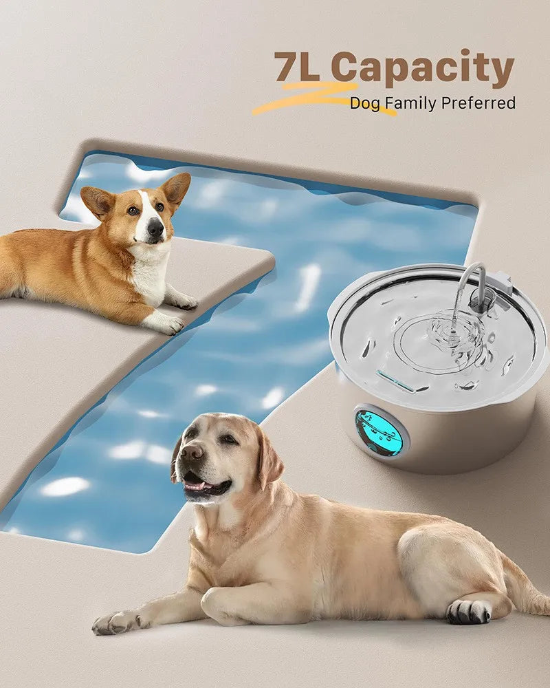 7L Stainless Steel Pet Water Fountain – Quiet Auto Dispenser Pet Water Fountain Nixie