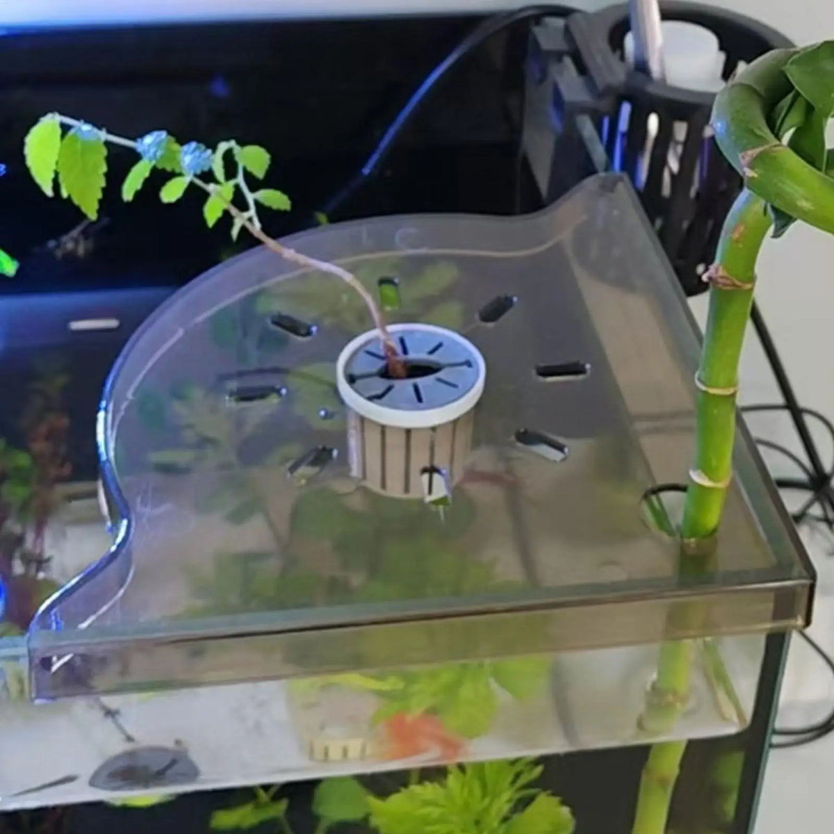 Aquarium Corner Shelf – PP Fish Tank Plant & Tool Holder Aquarium Corner Shelf Nixie