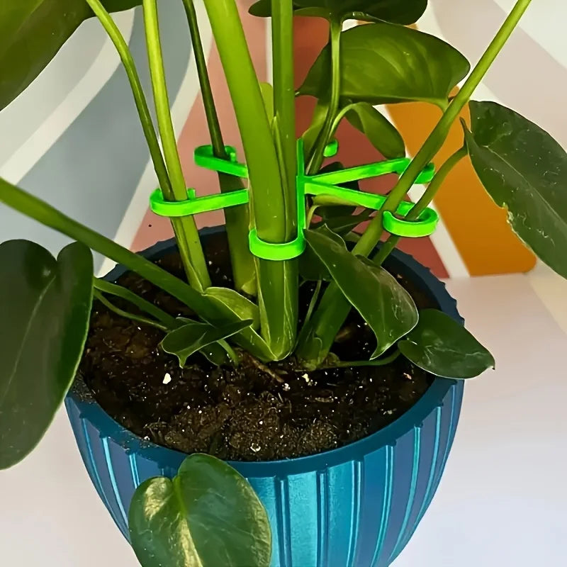 4-Piece Plant Stem Support Clips – Bamboo Branch Fixator Plant Support Clips Nixie