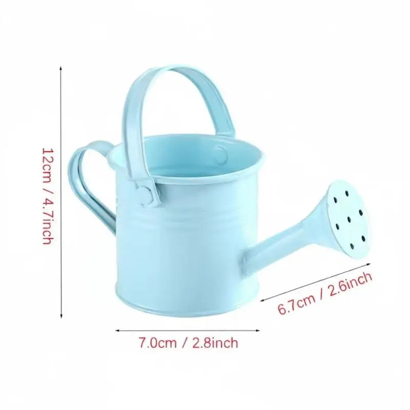 Metal Galvanized Watering Can for Garden – Anti-Rust Iron Pot Garden Watering Can Nixie